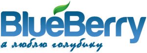 logo_last
